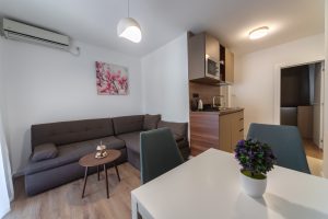 Apartman sa jednom spavaćom sobom sa balkonom sa djelimičnim pogledom na more 2